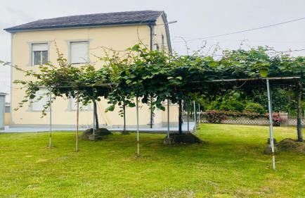 Carballeira house - Foto 12