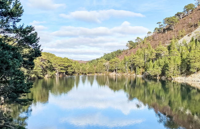 Osprey House - Photo 38