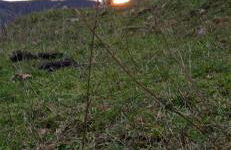 Los Tres Hórreos - Foto 56