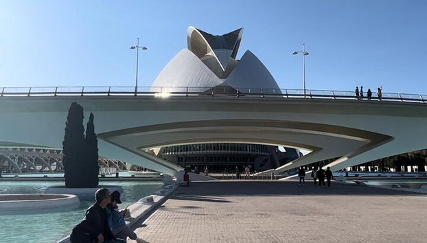 Valencia: Tour privado a pie por la Ciudad de las Artes y las Ciencias - Foto 2