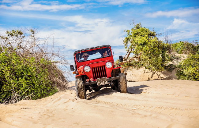 Club Mango - Photo 27