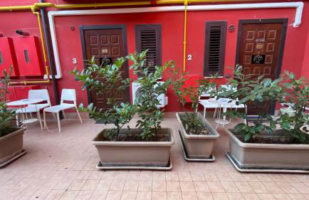 Moscati home - Foto 4