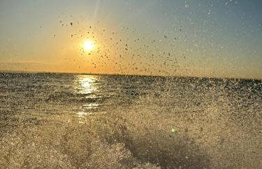 La casa de Luna - Foto 46