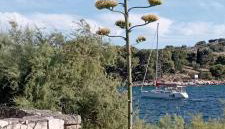 Oaza Tribunj Sea View - Foto 3