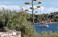 Oaza Tribunj Sea View - Foto 3