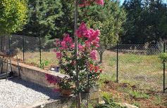 Villa Leone - Photo 46