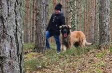 Domek Na pokładzie - Foto 19