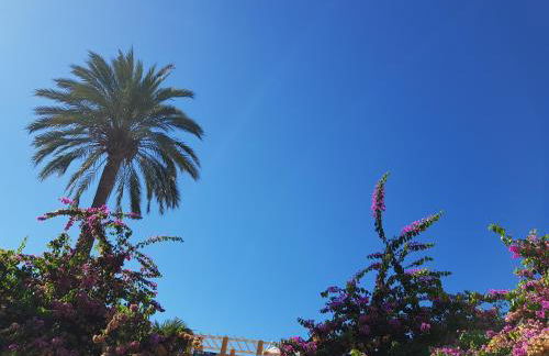 Cascadas de la Marina - Foto 28