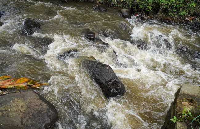 OYO Homes 91006 Eco Tourism Desa Cibodas Areng 5 Syariah - Photo 40