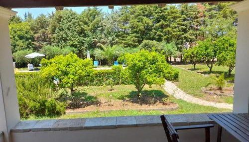 Lemontree Apartments - Foto 4