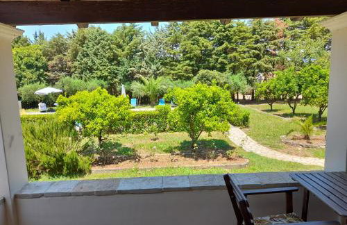 Lemontree Apartments - Foto 4