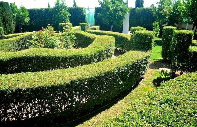 Alojamientos Rurales El Canal - Foto 29