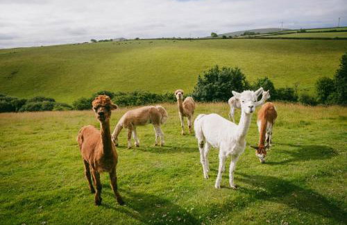 Ta Mill Holiday Cottages & Lodges - Forge Cottage - Foto 28