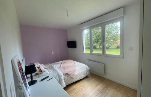 Olivier du ciel ODC - Photo 30