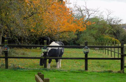 The Paddocks - Foto 13