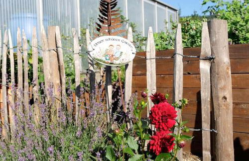 SchwarzWild - Ferienwohnung und Ferienzimmer - Foto 77