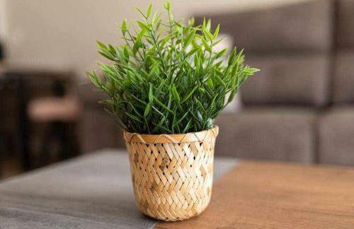 Coimbra Etxea - Precioso piso recién estrenado - Foto 21