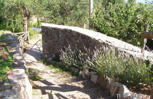 Gli Ulivi Agriturismo - Foto 92