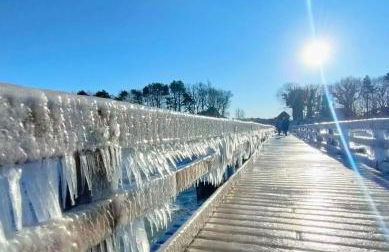 Ferienwohnung "Juliette" - Foto 2