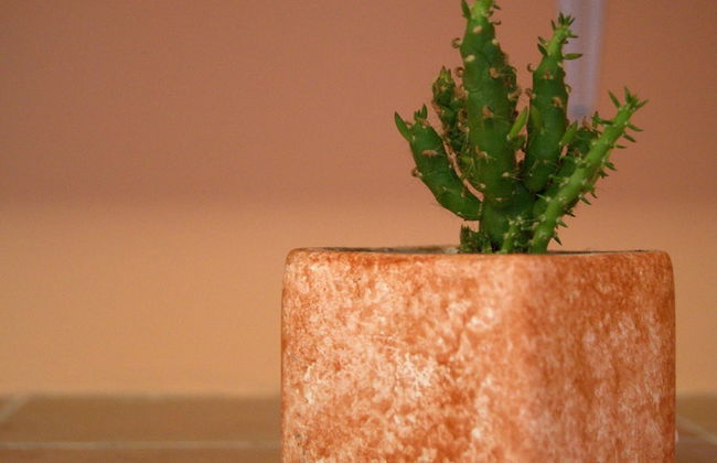 CASA ALESSANDRA POSITANO - Foto 38