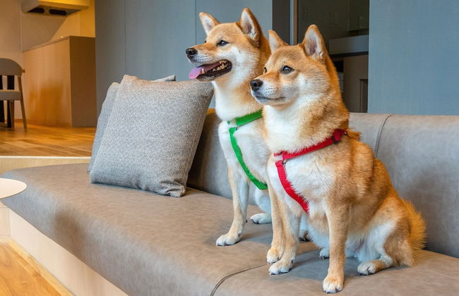 Rakuten STAY VILLA Aso Kurokawa - Foto 34