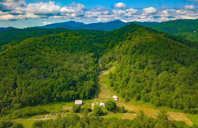 Breathe Easy - Foto 28