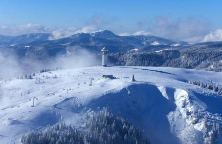 Paradies 1 - Foto 59