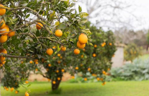 Yourhouse Villa Sa Caseta - Foto 2