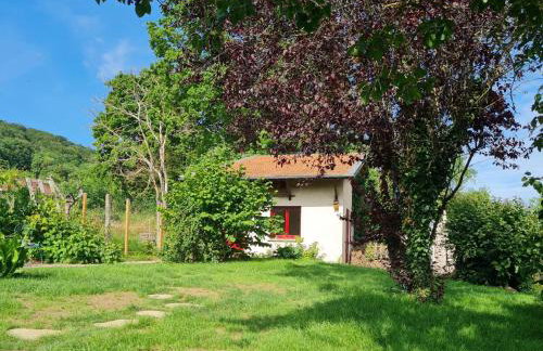 Petit nid cosy entre vignes et forêt, tout inclus avec terrasse privative - FR-1-584-291 - Foto 5