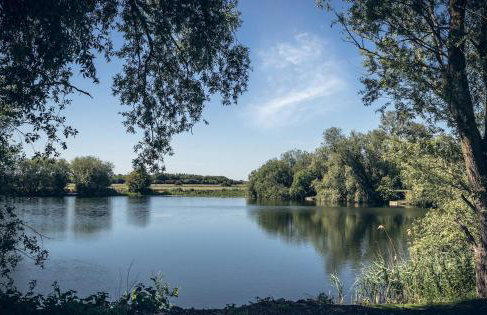 Charming Countryside Retreat Fast Wifi - Photo 14