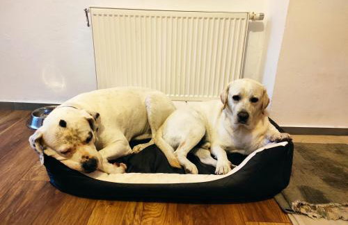 Willa Osada Pogodno - Foto 43