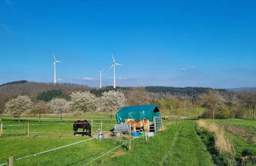 Apartment im schönen Taunus - Foto 10