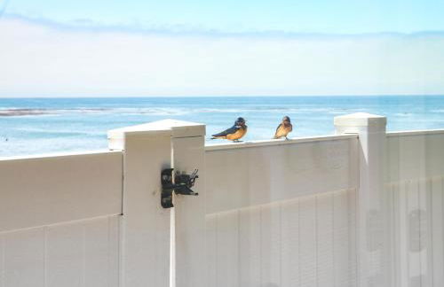 Star of the Sea-Oceanfront Luxury - Foto 48