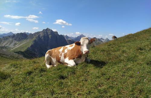 Ferienwohnung Zum Bartelt - Foto 18