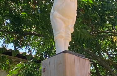 Mas Vigneron - Foto 29