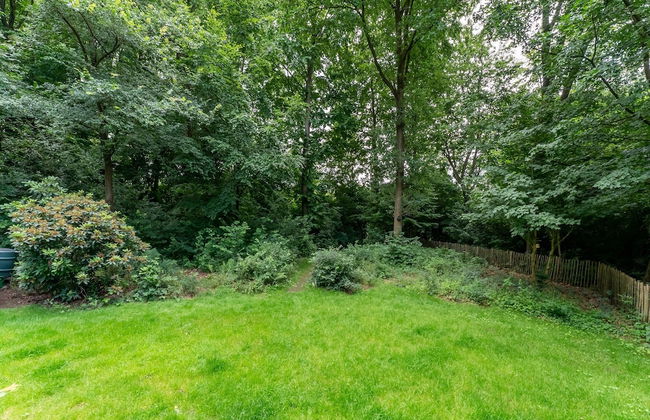 House in Hunzebergen Near Forest Trails - Foto 31