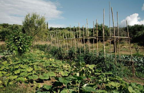 Kukutseli Country Living by WhiteDream Villas - Foto 17