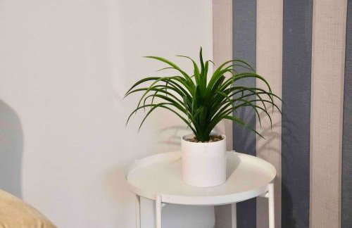 Entire Family Vacation Home . WiFi . FREE Parking - Foto 5