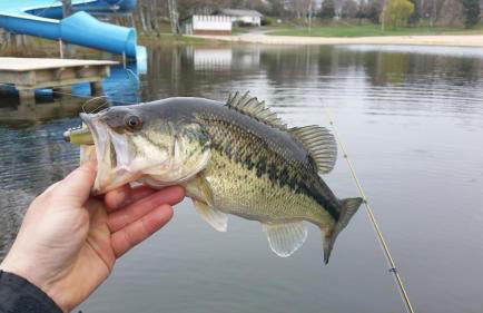 Chalet Cosy 7 pers Nature avec Piscine - Foto 23