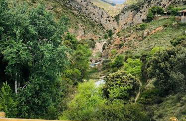 Villa Jardines de Guara - Foto 8