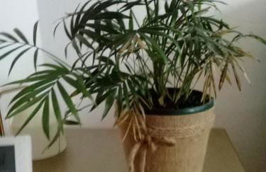 Vista Terraza Illora - Foto 6