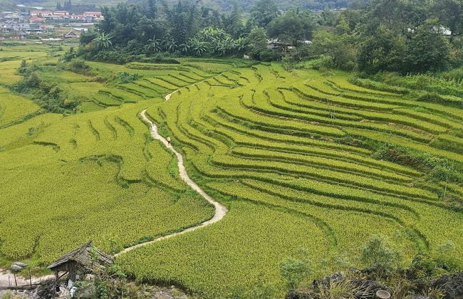 Homestay Nui Da Ta Phin - Foto 10