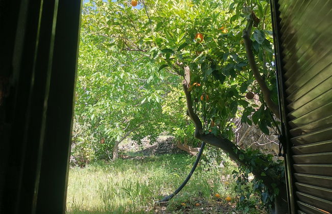 La Fattoria dei Nonni Resort dell'Etna - Foto 21