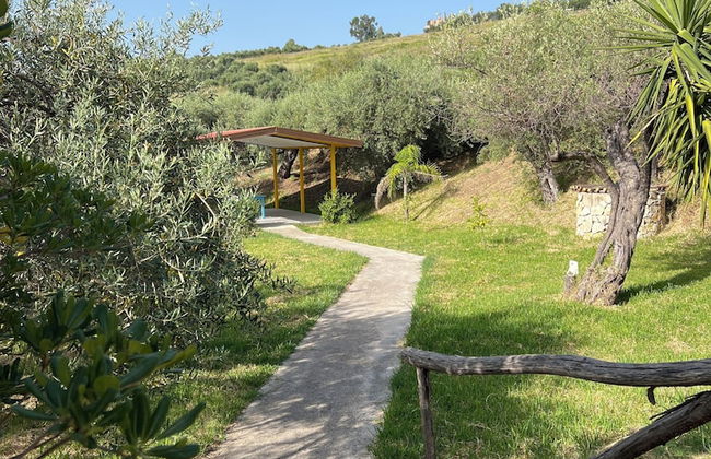 Agrolea Rodí Milici - Foto 41