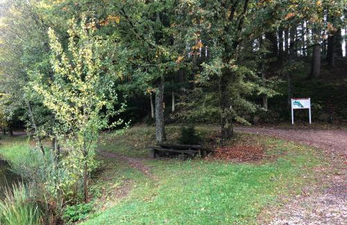 Rustikale Wanderhütte am Angelteich - Foto 17