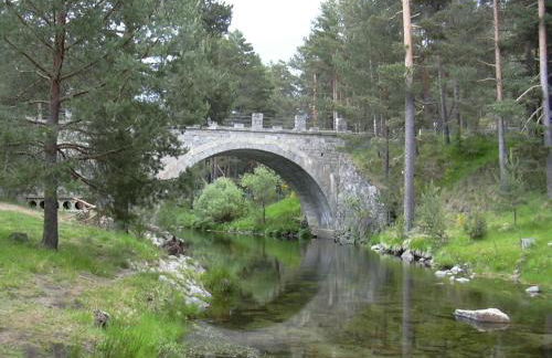 Los Navazuelos - Photo 44