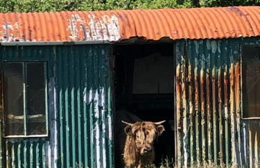 Bonnie Brae Croft Bothies - Foto 57