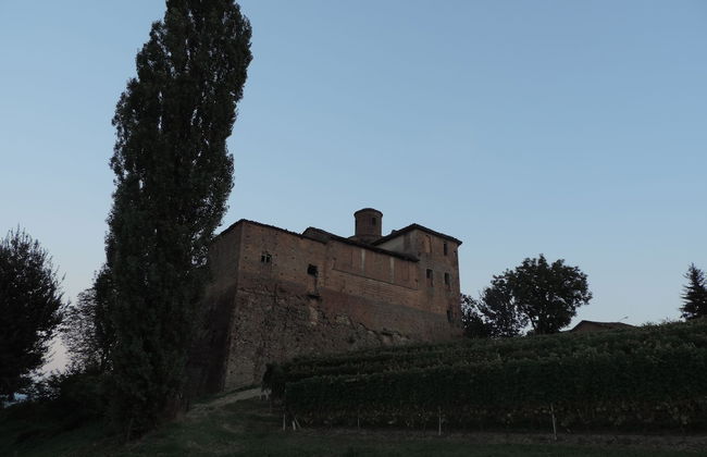 Agriturismo Isorella - Foto 44