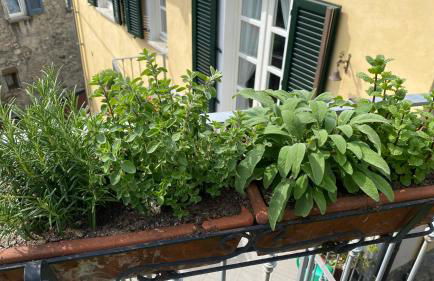 Il Mulino di Hotel Villa Aurora - Foto 36