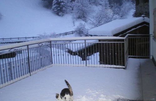 Casa Zebrusius - Zebrusius's App - Foto 23